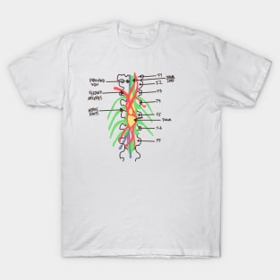 Greys Anatomy/Medicine/Spinal Cord/ Nerves/ Derek shepherd/ Grey Sloan/ Med School T-Shirt